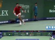 爱游戏娱乐-澳网险胜联合杯，德约科维奇惊艳四座