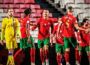 爱游戏中国-荷兰横扫葡萄牙，博格巴绝境逆转