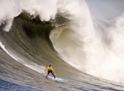 AYX体育赛事-库里，从金州过客到纽约关键先生，尼克斯如何用外来火种点燃麦迪逊花园